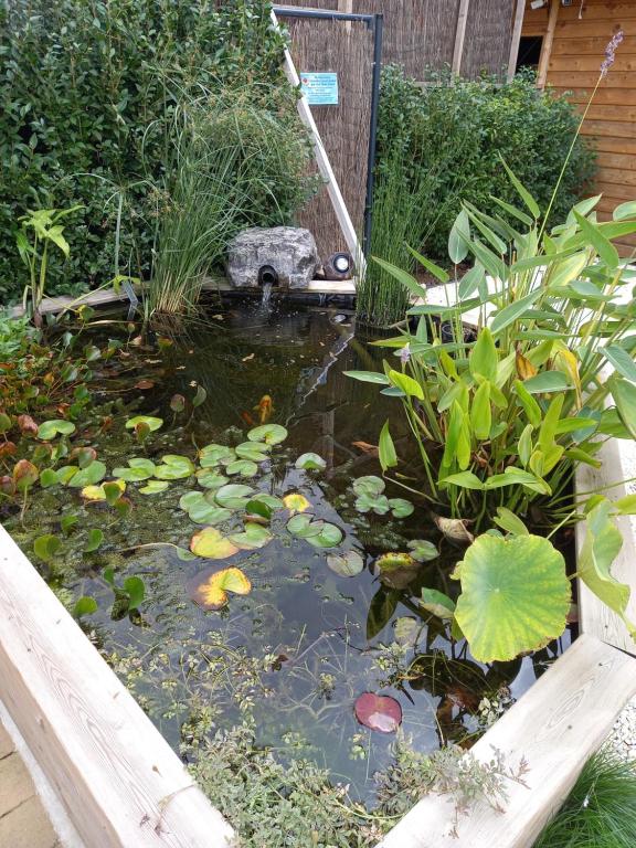 Fotografia z galérie ubytovania Appartement 3 ème étage avec piscine partagée v destinácii Sedan