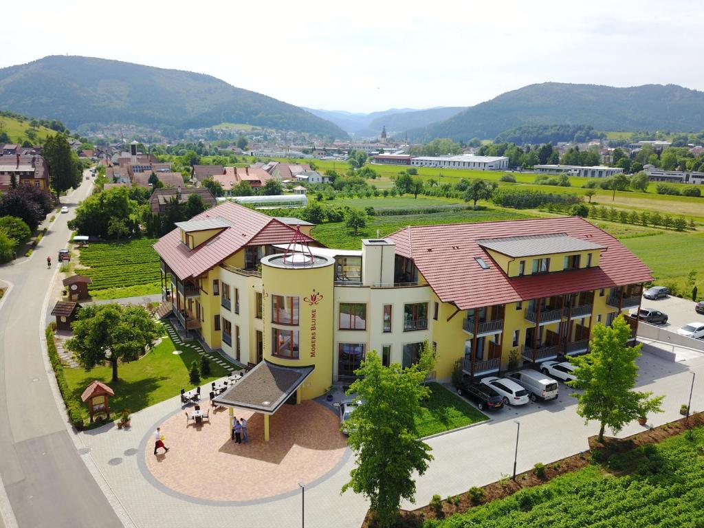 Nespecifikovaný výhled na hory nebo výhled na hory při pohledu z hotelu