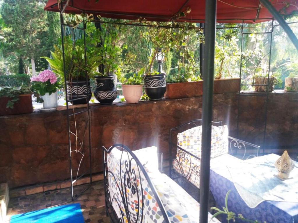 Zahrada ubytování Mdiq Chalet