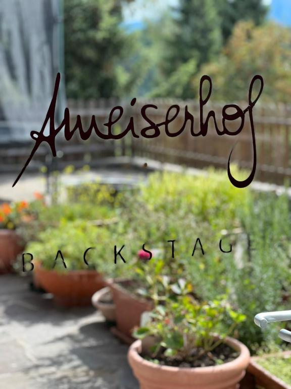 Fotografie z fotogalerie ubytování Ameiserhof Guesthouse v destinaci Collalbo