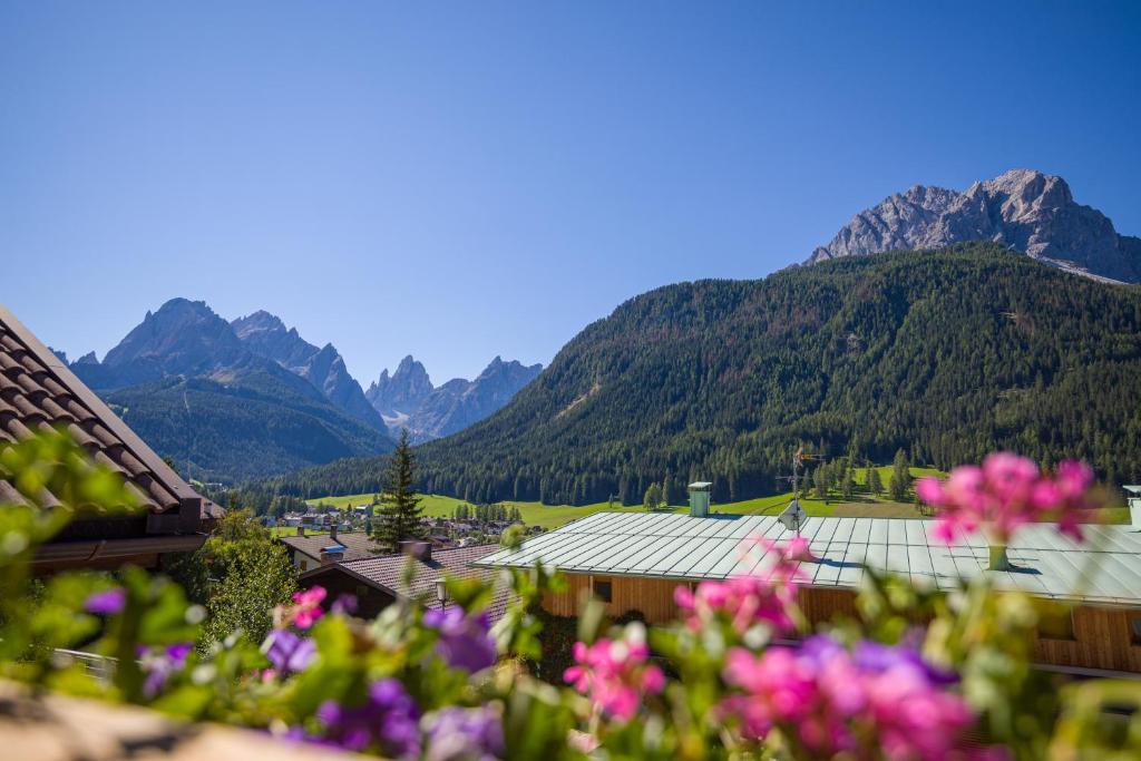 una vista de las montañas con flores en el primer plano en Appartamenti Sonnenuhr, en Sesto