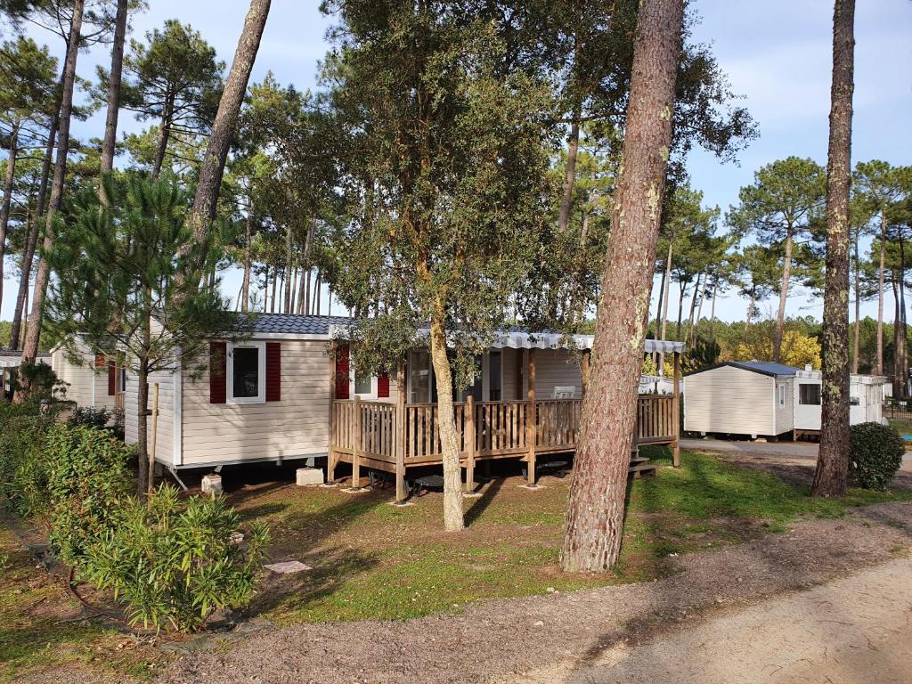 une maison dans les bois avec une véranda et des arbres dans l'établissement Smala, à Saint-Julien-en-Born
