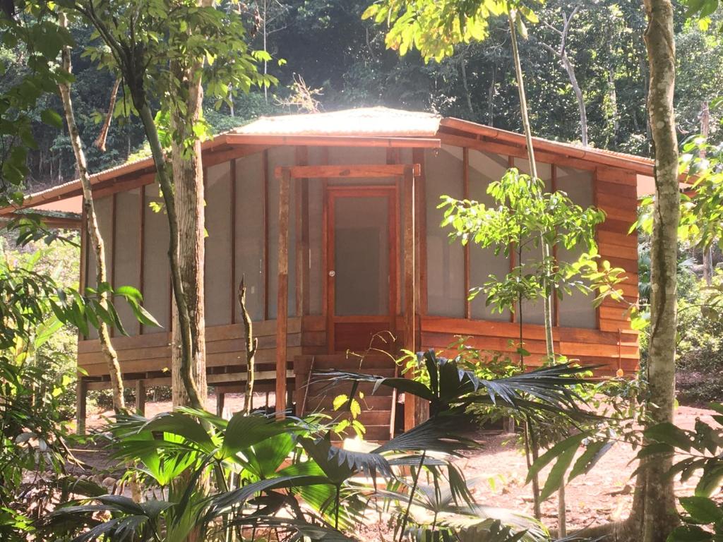 a small cabin in the middle of a forest at La Musa Verde in Tarapoto