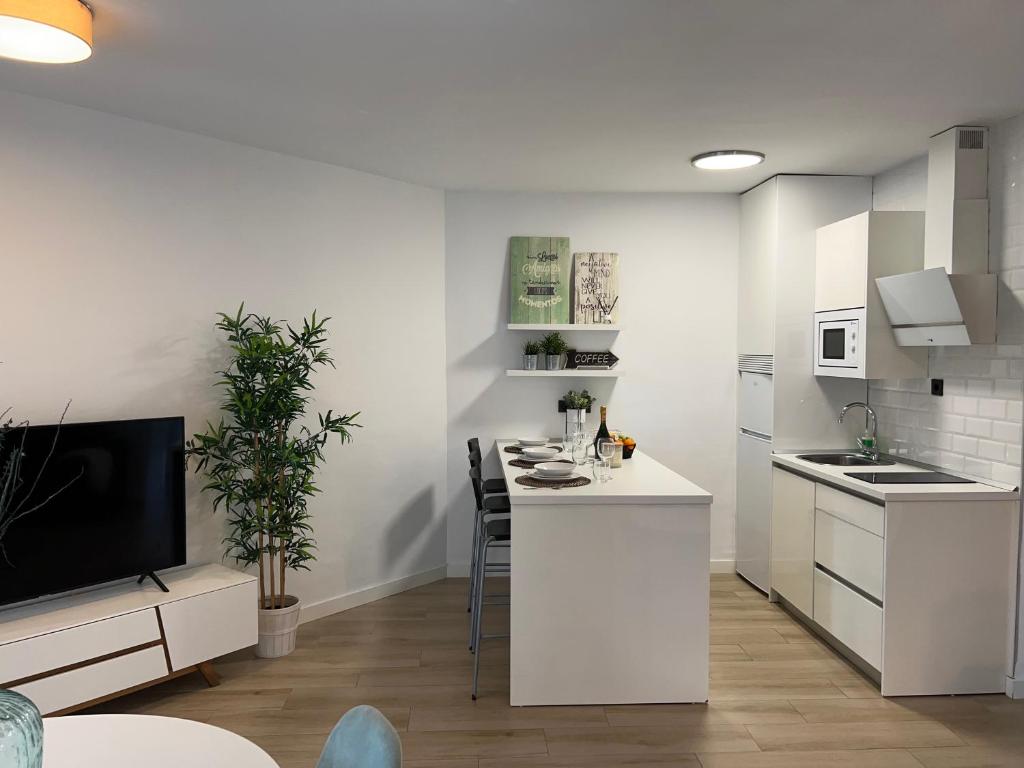 Kuchyňa alebo kuchynka v ubytovaní PUERTO BANUS Apartamento PICASSO