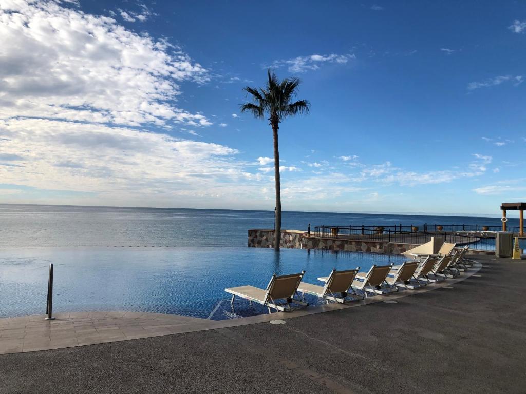 eine Reihe von Stühlen und eine Palme neben dem Wasser in der Unterkunft Sonoran Sky in Puerto Peñasco