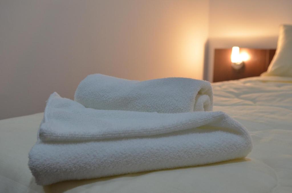 Postel nebo postele na pokoji v ubytování Garni Hotel Lion