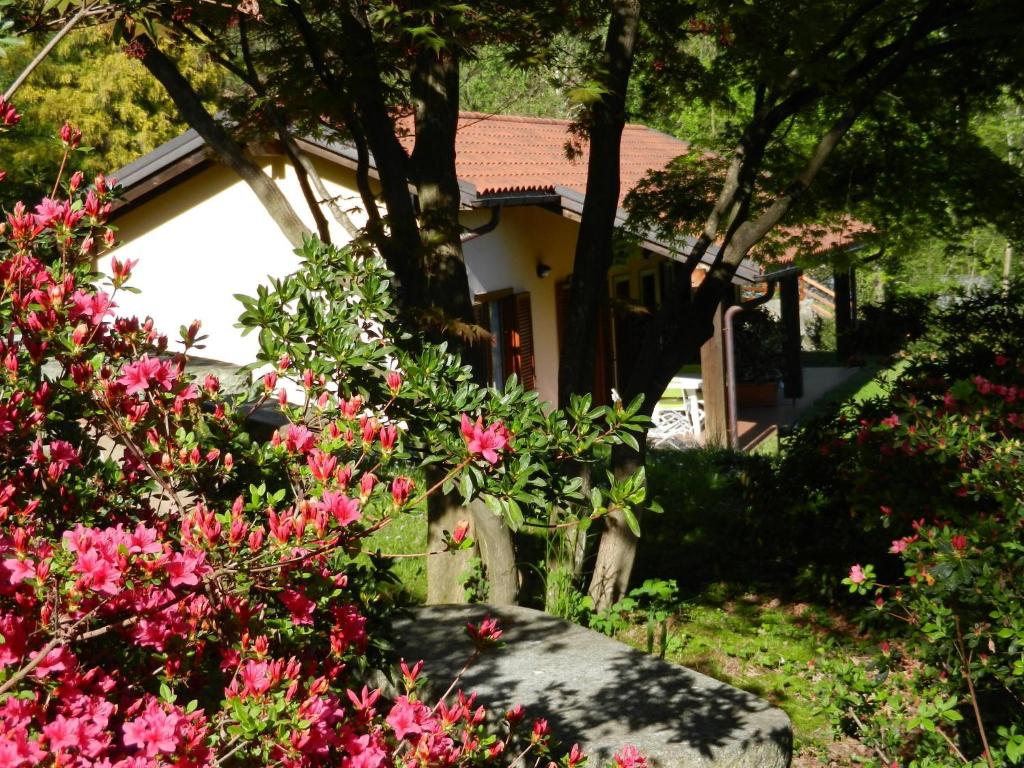 Vonkajšia záhrada v ubytovaní Casa Luciana