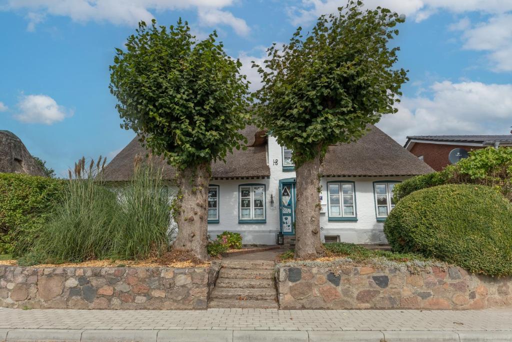 une maison blanche avec deux arbres devant elle dans l'établissement Reetkate Oldersbek, à Oldersbek