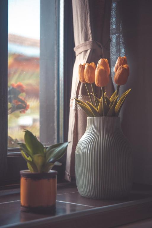 Fotografie z fotogalerie ubytování Hauptman apartman v destinaci Nagyatád