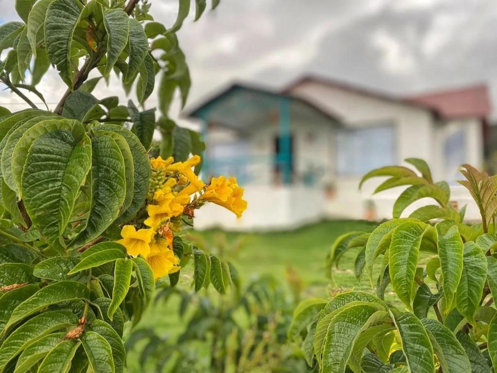 Casa Campestre Sua Meca Guatavita - 三居室房屋