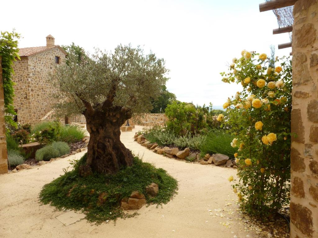 Castel Brunello - 10