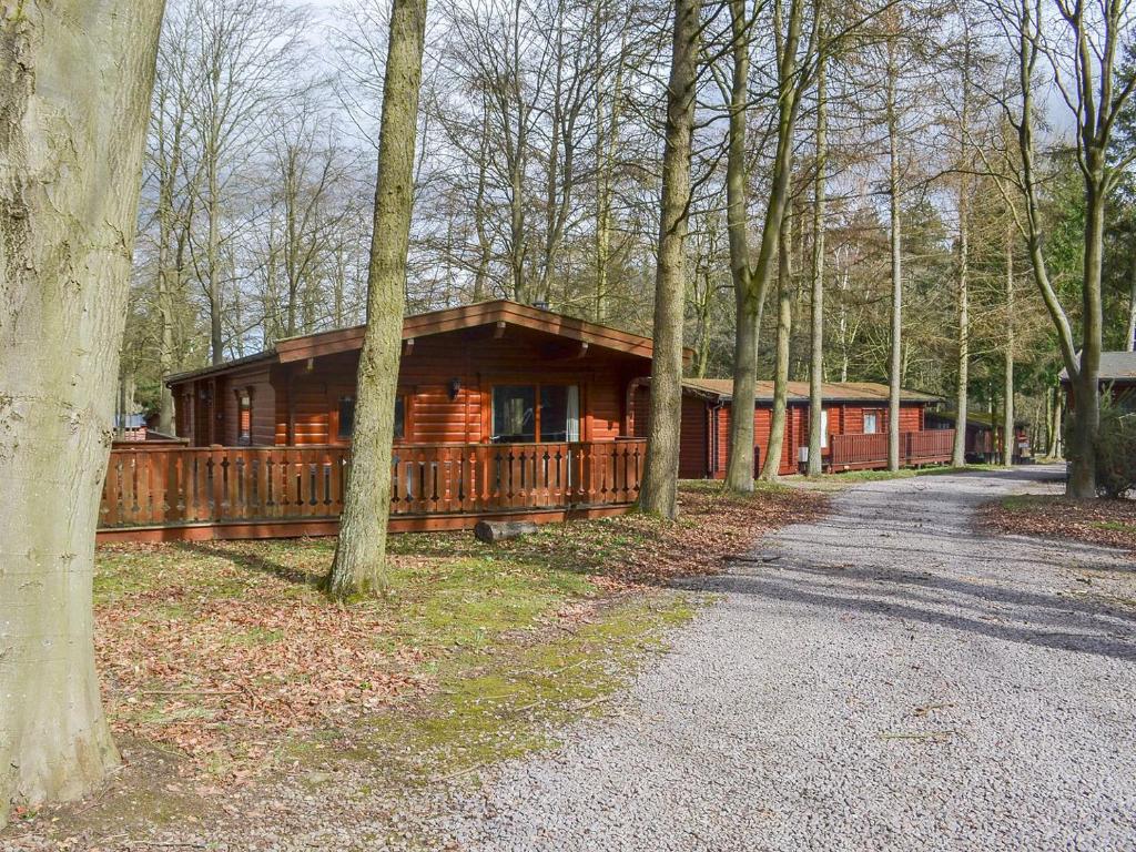 a large wooden cabin in the woods with a driveway at Paradise Lodge-uk31996 in Legbourne