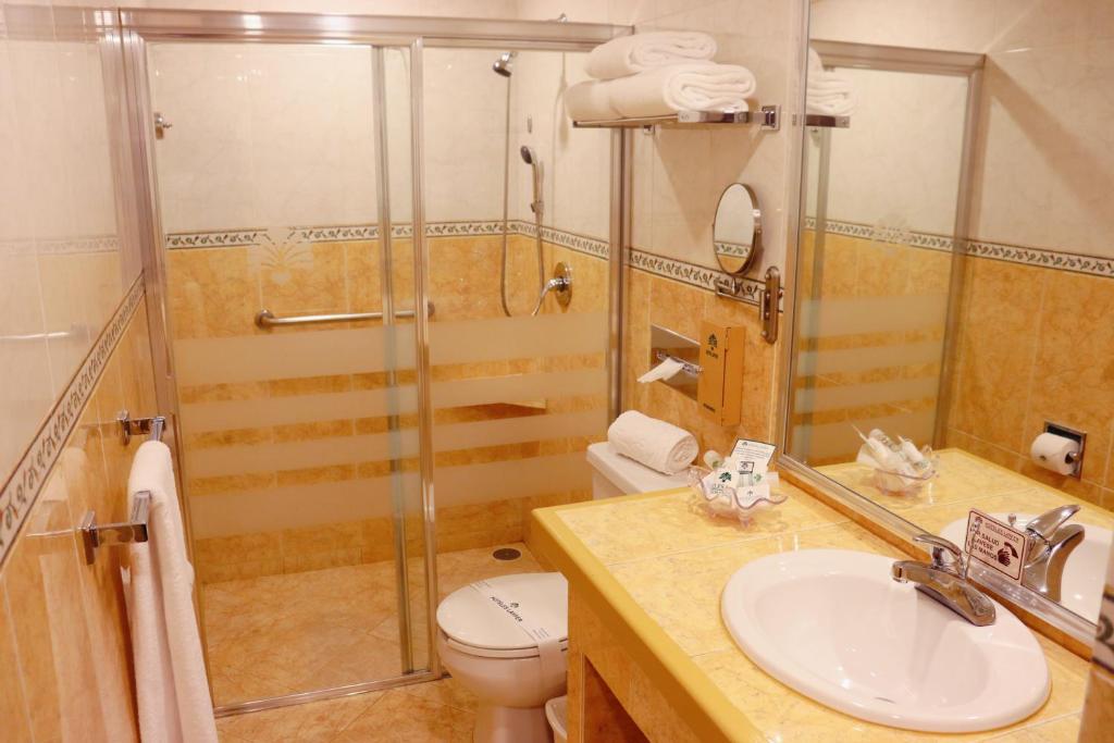 Koupelna v ubytování Suites Layfer, Córdoba, Veracruz, México