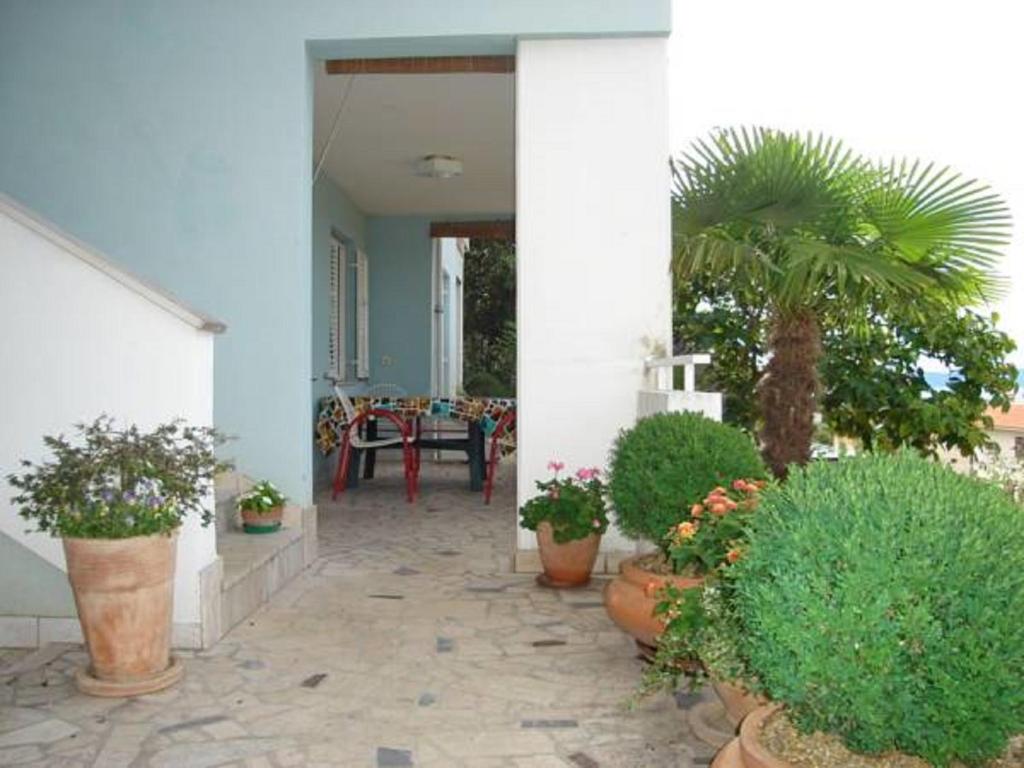 Zahrada ubytování Apartments Mare Losinjska 16