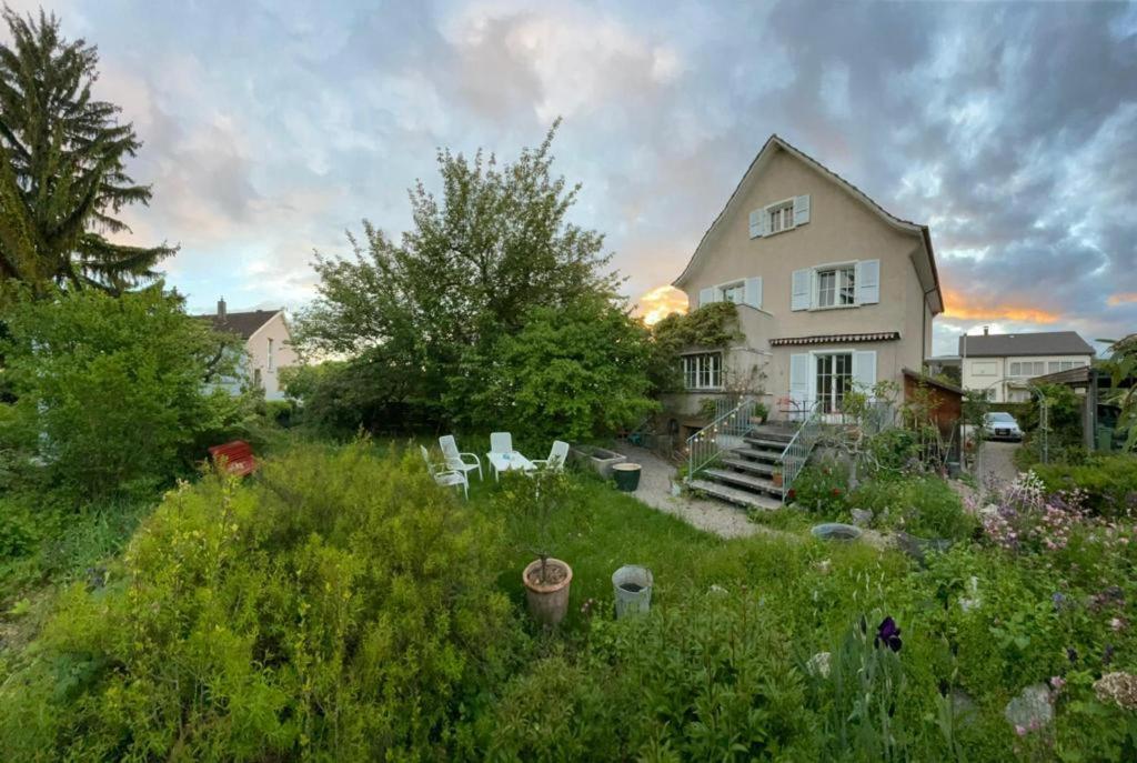 una casa blanca con un patio con plantas en au jardin, en Zuchwil