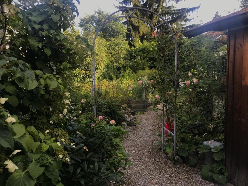 Zahrada ubytování au jardin
