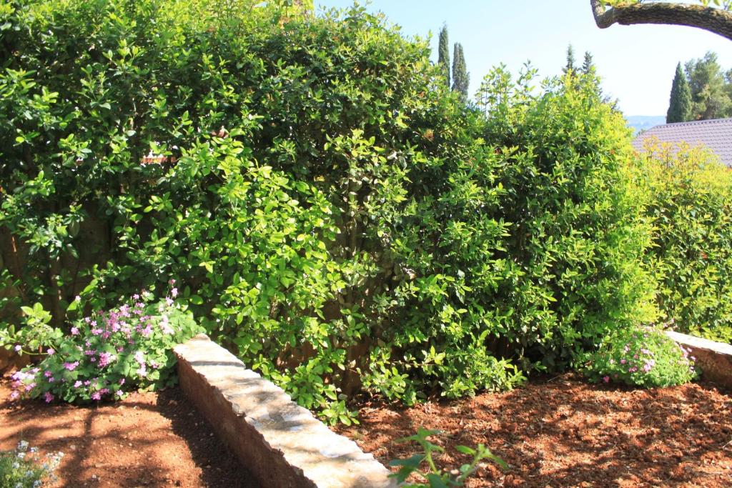 Vonkajšia záhrada v ubytovaní Apartment Vrboska 8748a