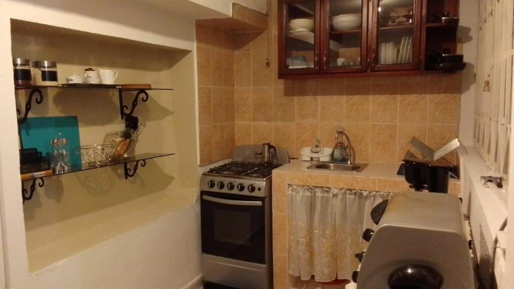 Kuchyň nebo kuchyňský kout v ubytování Los Cacicazgos Apart Estudio