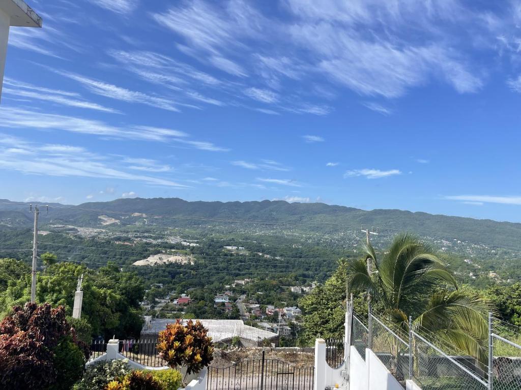a view of a city with a palm tree and mountains at Skyline Suites, breathtaking mountains & city view apts in Montego Bay