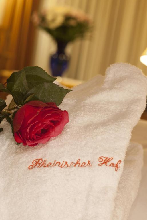 Hotel Rheinischer Hof - 5