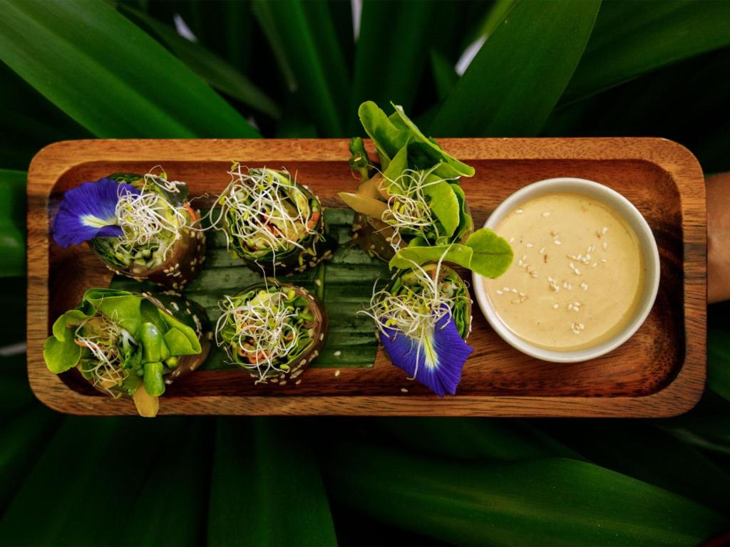 CC's Hideaway Kata - SHA Plus - Resim 27