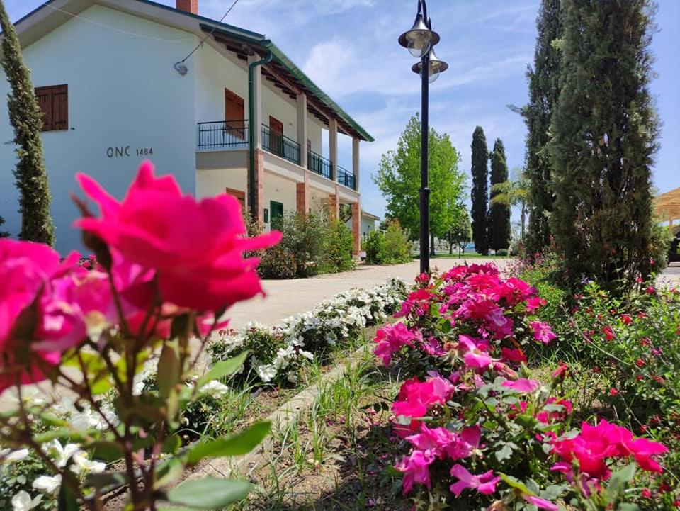 un jardín con flores rosas frente a un edificio en Agriturismo Ariston ONC 1484 en Sabaudia