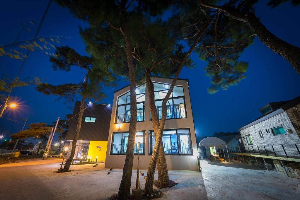 a building with a tree in front of it at night at Gangneung Haesolnaeeum Pension in Gangneung