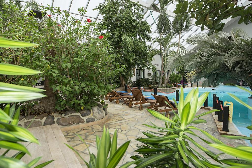 um jardim de Inverno com piscina, cadeiras e plantas em Hotel Tropical em Durbuy