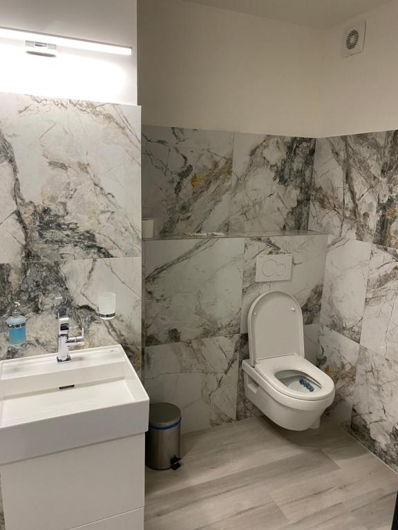 Hotel Palác - Resim 16