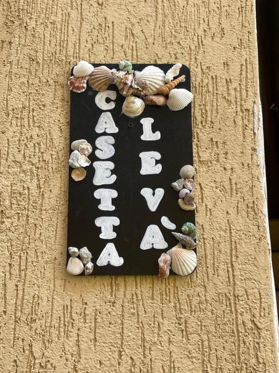 a board with shells on it on a wall at Casetta Levà in Arma di Taggia