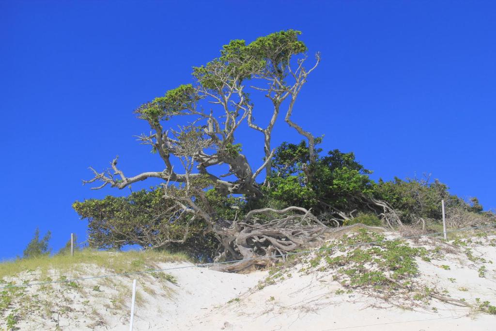  Costa Dourada Pousada
