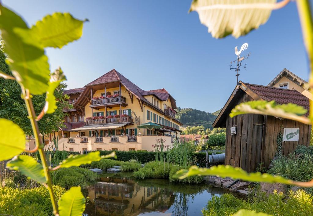 Příroda nedaleko hotelu