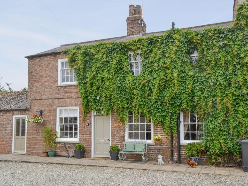 a brick house with ivy growing on it at Highbury Farm Cottage in Wharram le Street