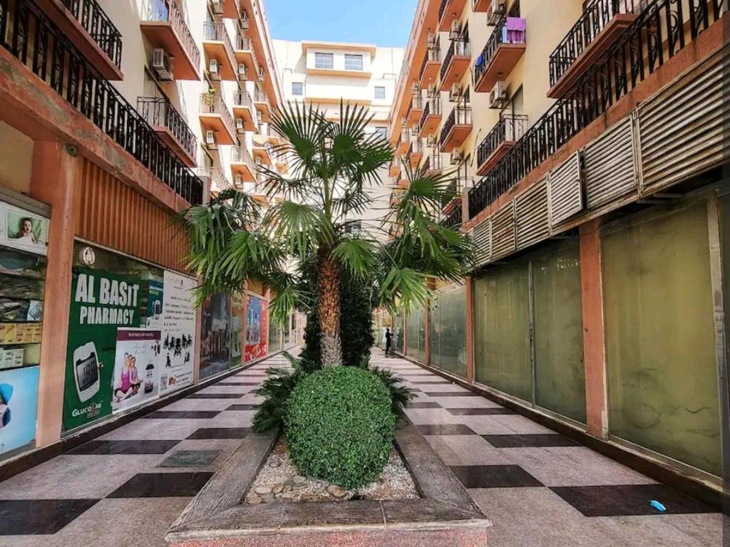 una palmera en medio de una calle de la ciudad en CosmoStay Islamabad, Bahria Town, en Rawalpindi