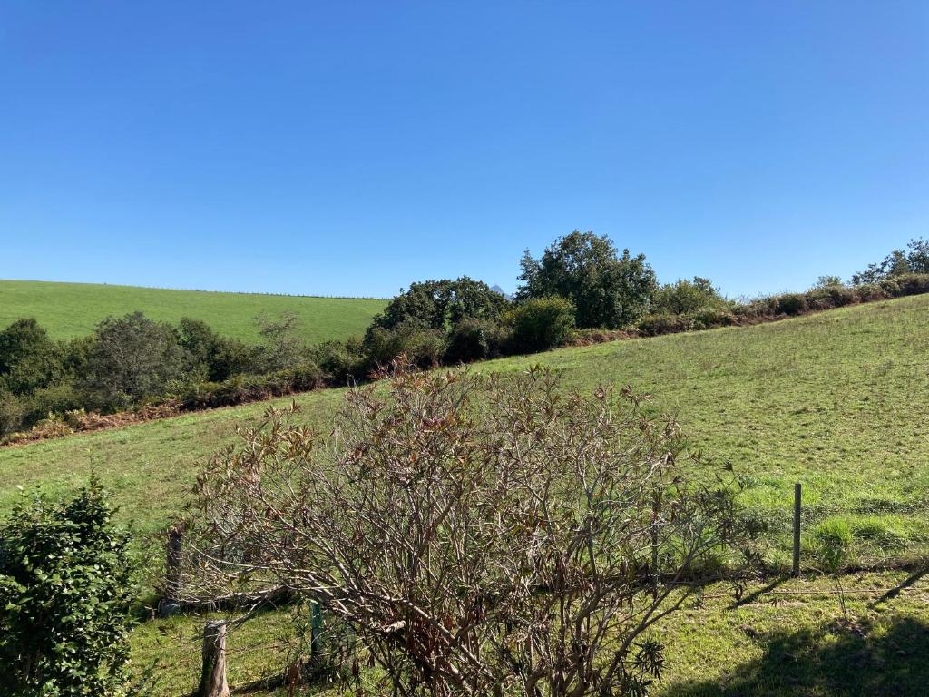 a green hill with a tree in a field at Amama Baita in Urrugne