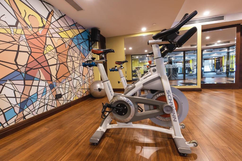Fitness centrum a/nebo fitness zařízení v ubytování Sarova Panafric Hotel