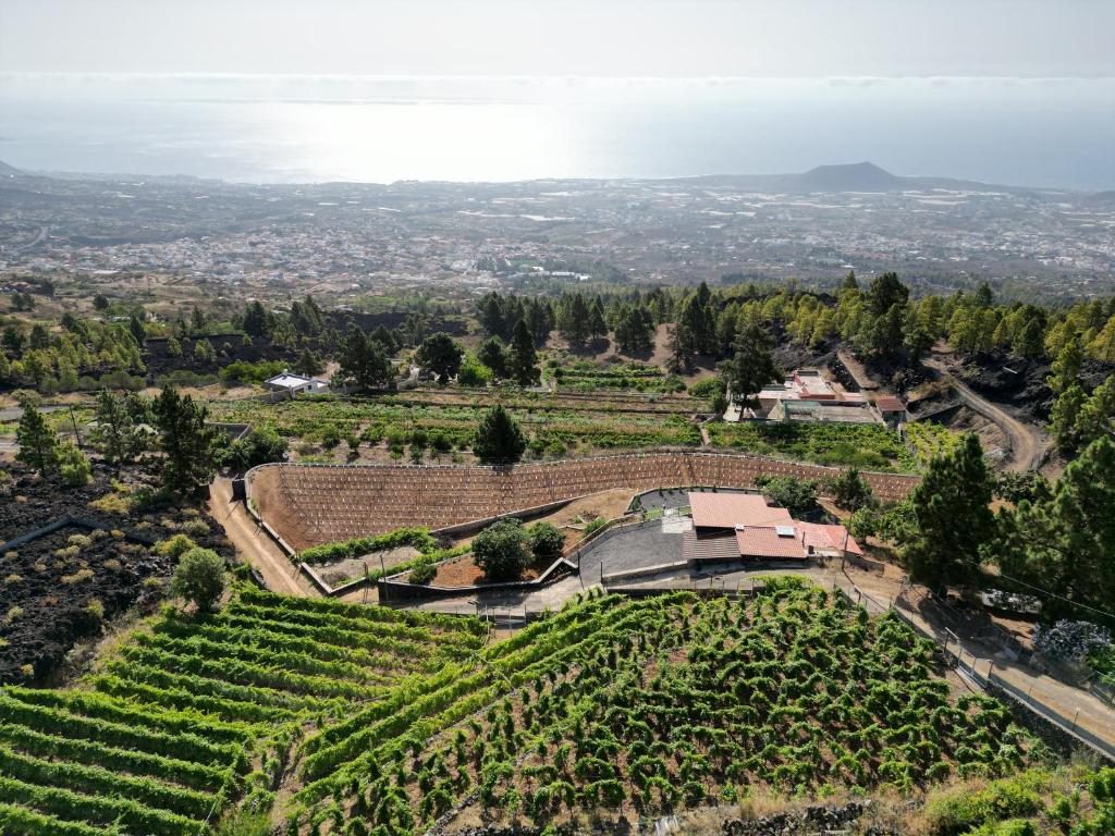 an aerial view of a vineyard with a house in the middle at Finca Ecológica Ferrera. Alojamiento Rural. in Arafo