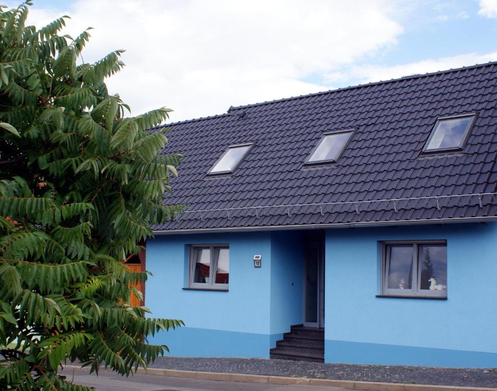 a blue house with a black roof at Ferienwohnung am Park in Erfurt