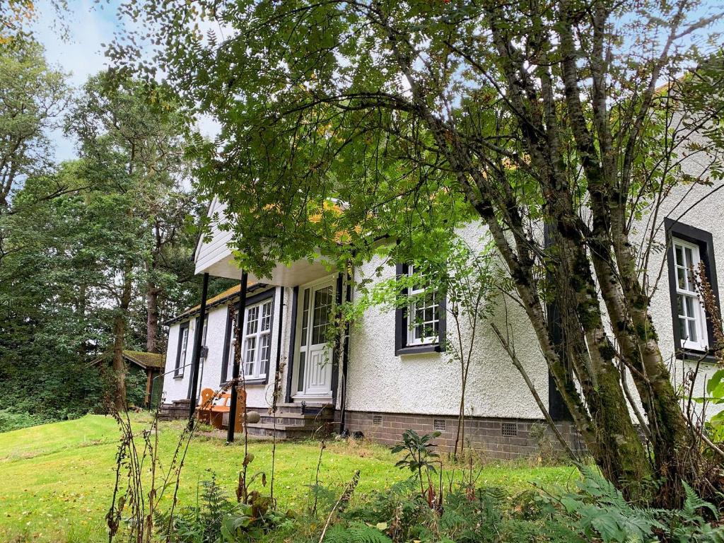 Una casa blanca con un árbol delante. en Ardross, en Comrie