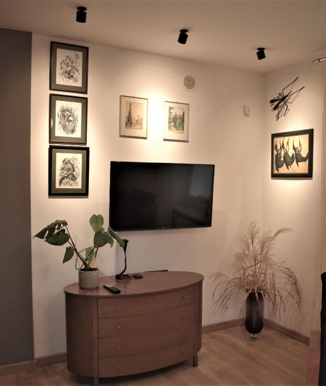 Televízia a/alebo spoločenská miestnosť v ubytovaní Apartament u Janka