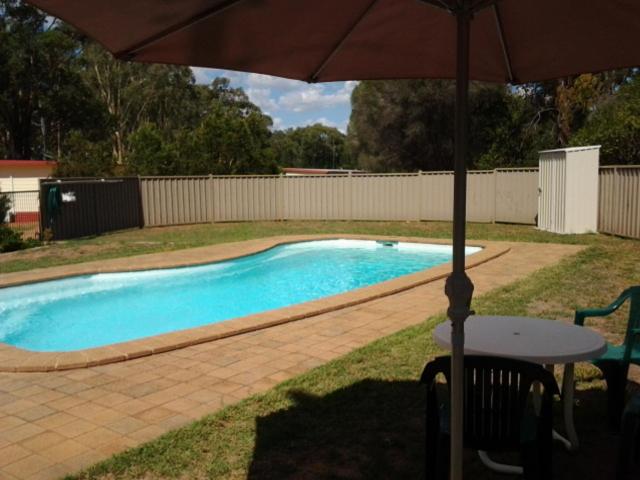 a table with an umbrella next to a swimming pool at Wagon Wheel Motel & Units in Coonabarabran