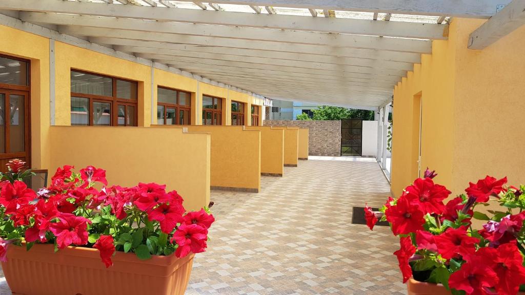 a row of flowers in pots on a building at Resting House in Braşov