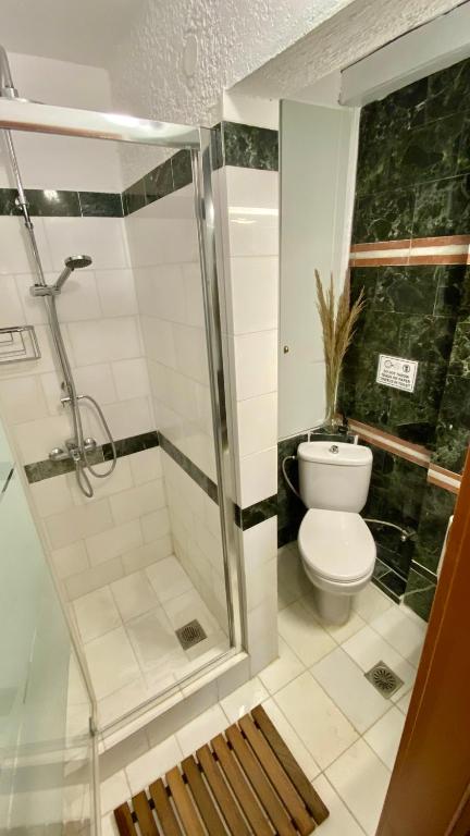 Kúpeľňa v ubytovaní Villa eco Electra