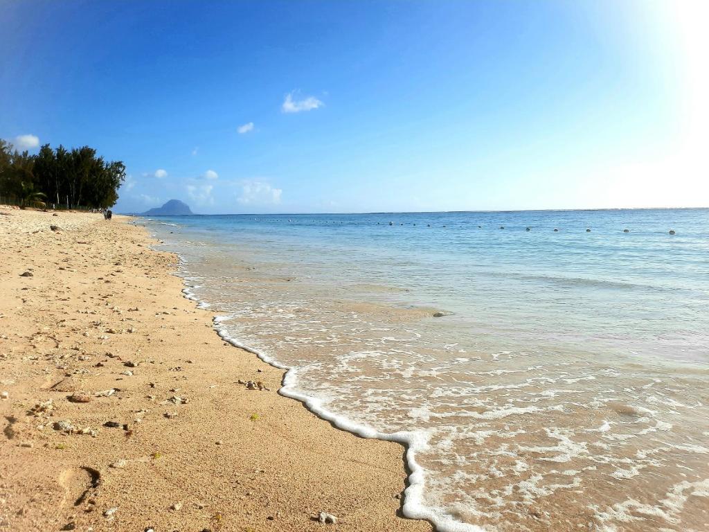 Modern apartment - Excellent location 50m from the beach, restaurants, bars, shops - 13