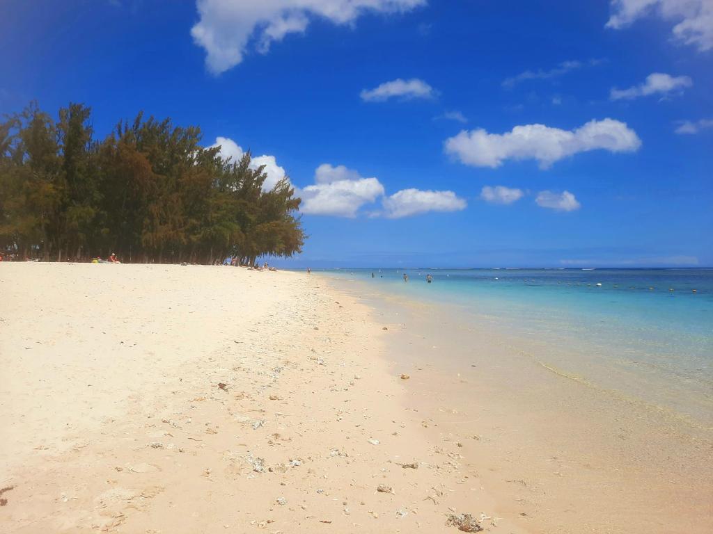 Modern apartment - Excellent location 50m from the beach, restaurants, bars, shops - 12