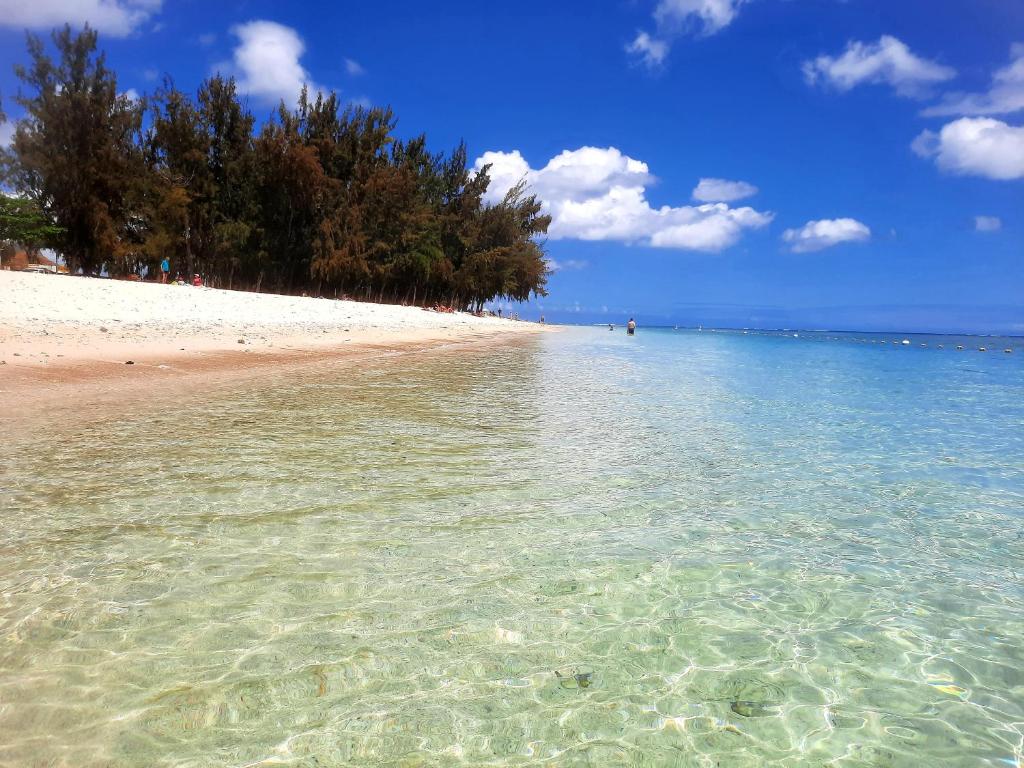 Modern apartment - Excellent location 50m from the beach, restaurants, bars, shops - 11