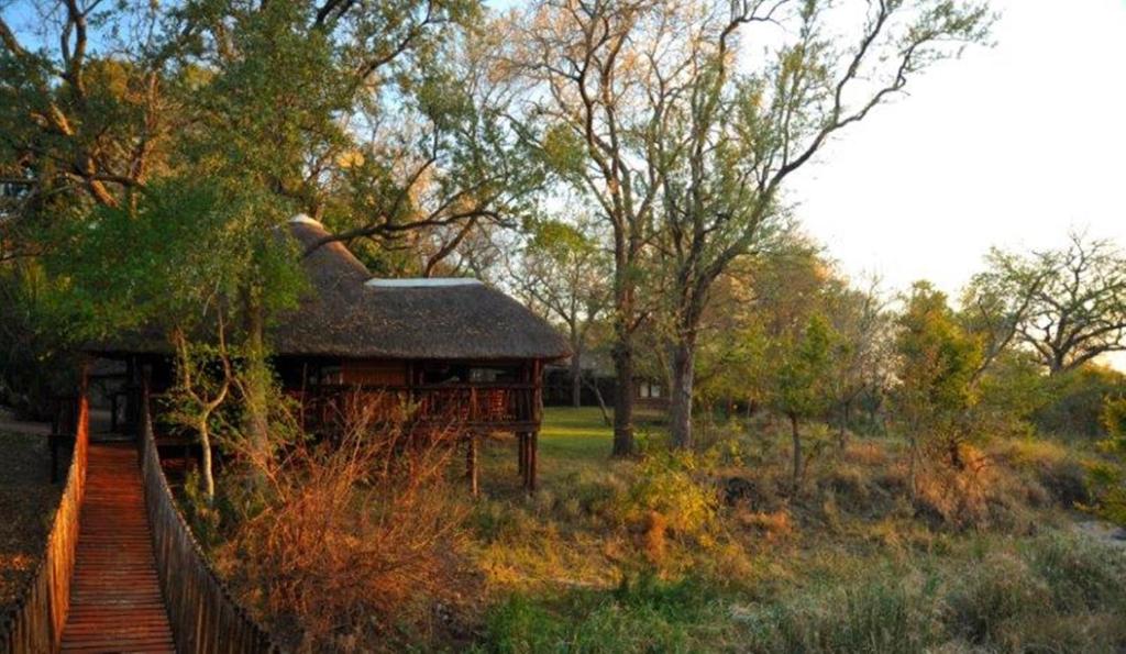 a log cabin in a field with a fence and trees at Idube Game Reserve in Sabi Sand Game Reserve