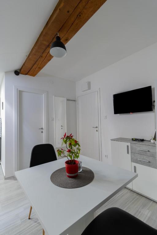Televízia a/alebo spoločenská miestnosť v ubytovaní Hill apartman - MAKSIMIR Rebro