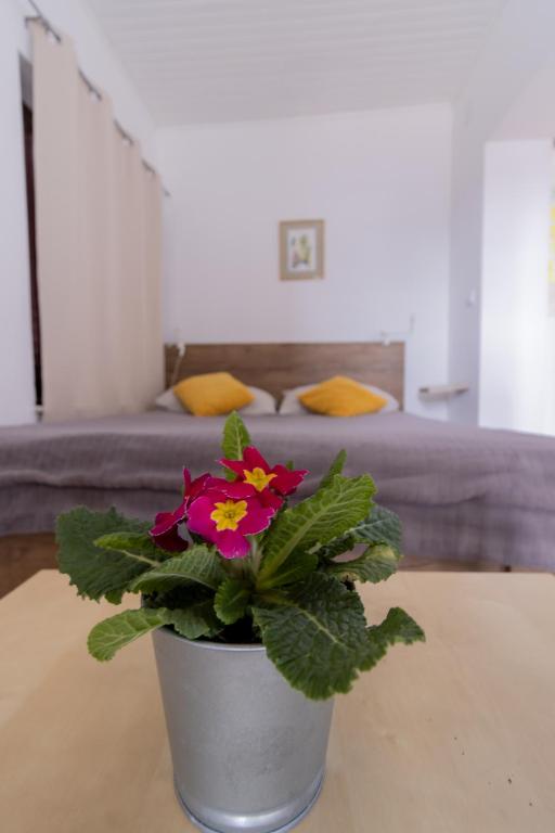 Posedenie v ubytovaní Hill apartman - MAKSIMIR Rebro