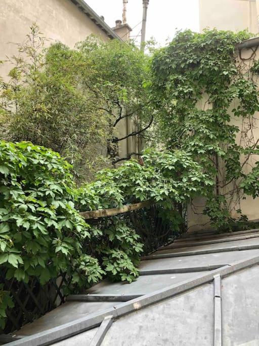 Fotografia z galérie ubytovania Paris : superbe 2 pièces Jardin des Plantes. v Paríži